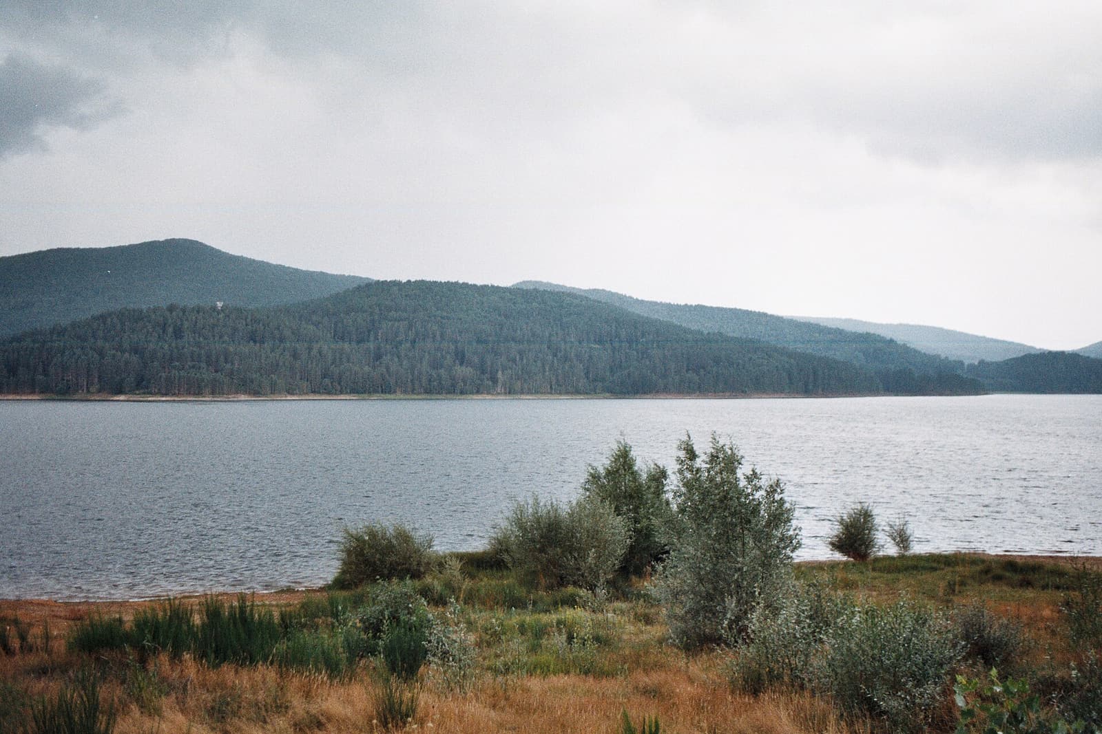 Lake Arvo in the Sila National Park, ringed by forested hills