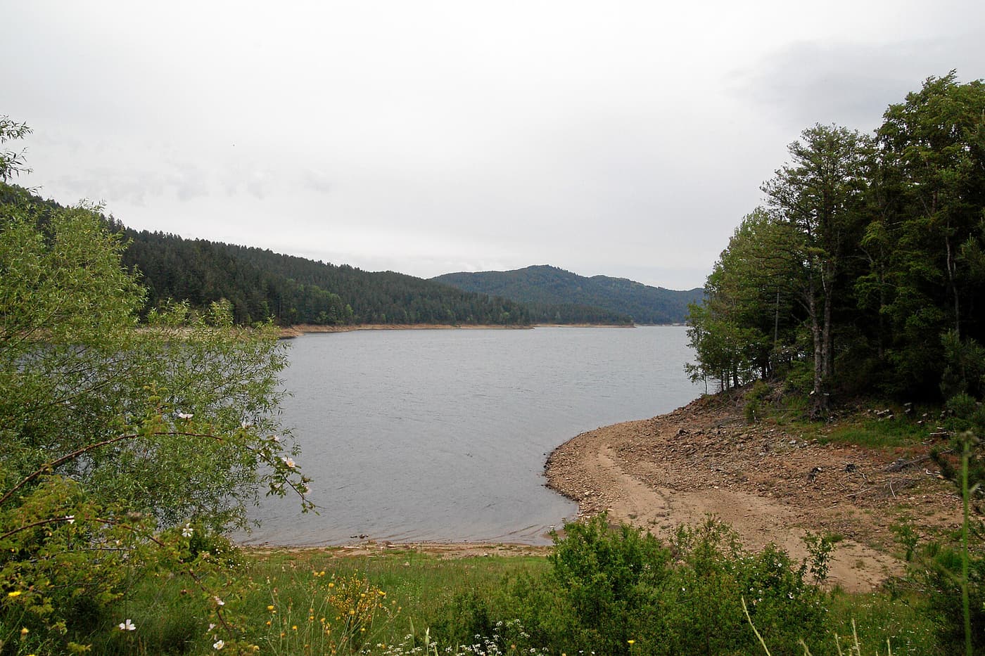The shore of Lake Ampollino surrounded by the forests of the Sila